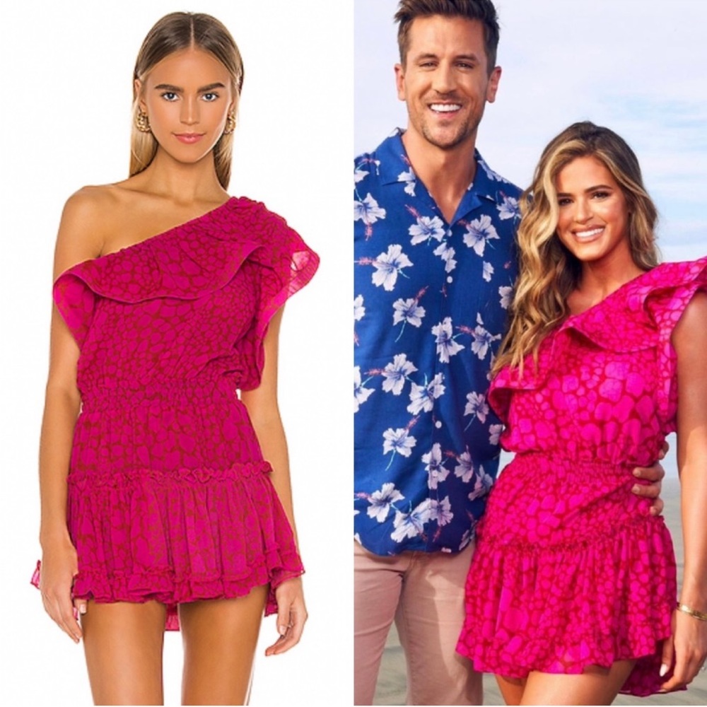 MISA Los Angeles Josefine Dress in Pink Giraffe Size Small